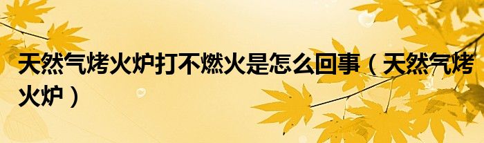 天然气烤火炉打不燃火是怎么回事（天然气烤火炉）