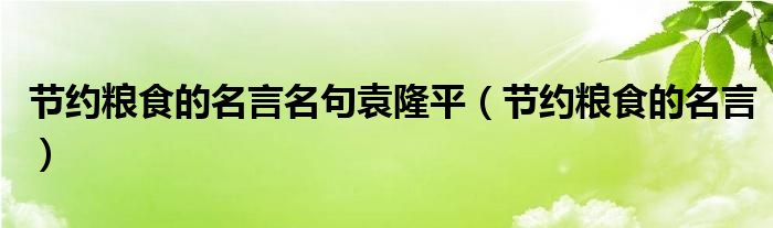 节约粮食的名言名句袁隆平（节约粮食的名言）