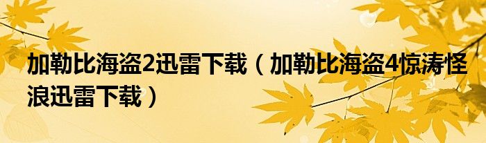 加勒比海盗2迅雷下载（加勒比海盗4惊涛怪浪迅雷下载）