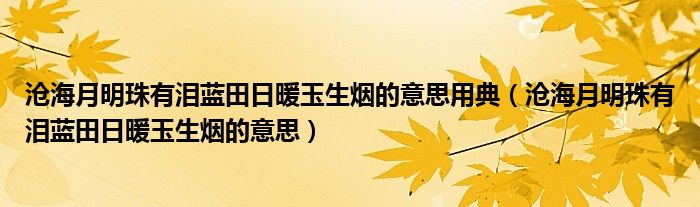 沧海月明珠有泪蓝田日暖玉生烟的意思用典（沧海月明珠有泪蓝田日暖玉生烟的意思）