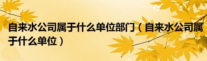 自来水公司属于什么单位部门（自来水公司属于什么单位）