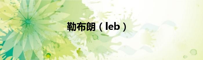 勒布朗（leb）