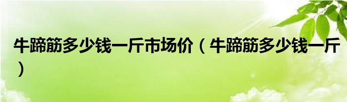 牛蹄筋多少钱一斤市场价（牛蹄筋多少钱一斤）