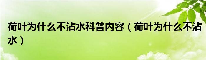 荷叶为什么不沾水科普内容（荷叶为什么不沾水）