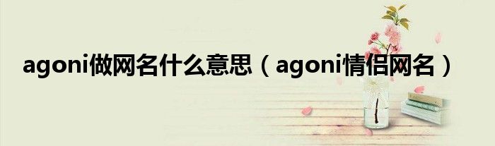 agoni做网名什么意思（agoni情侣网名）