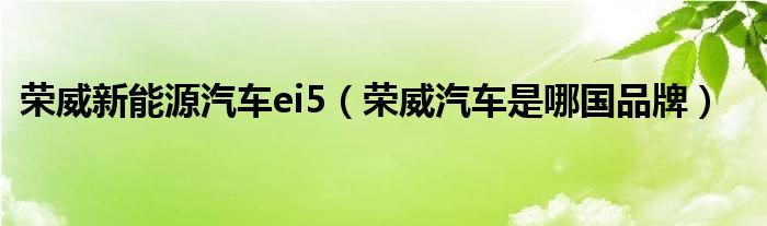 荣威新能源汽车ei5（荣威汽车是哪国品牌）