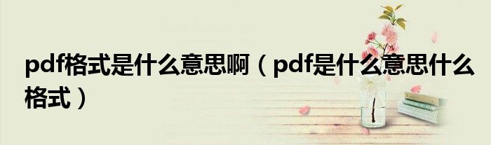 pdf格式是什么意思啊（pdf是什么意思什么格式）