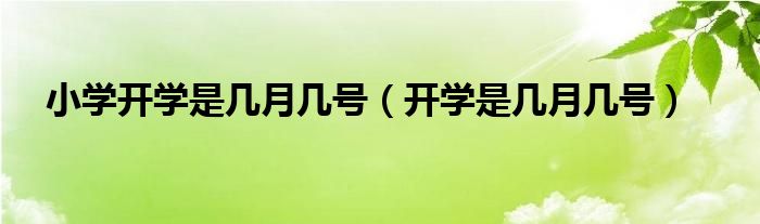 小学开学是几月几号（开学是几月几号）