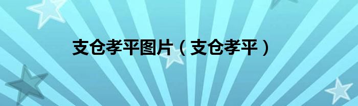 支仓孝平图片（支仓孝平）