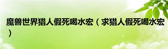 魔兽世界猎人假死喝水宏（求猎人假死喝水宏）