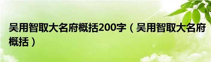 吴用智取大名府概括200字（吴用智取大名府概括）