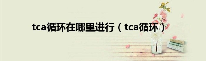 tca循环在哪里进行（tca循环）