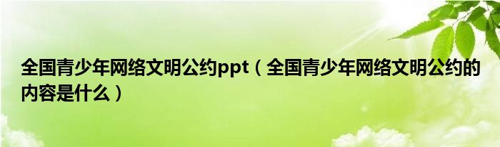 全国青少年网络文明公约ppt（全国青少年网络文明公约的内容是什么）