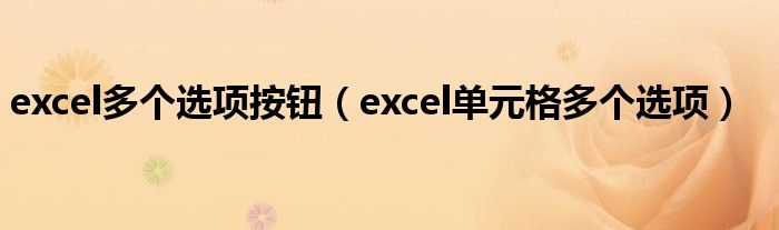 excel多个选项按钮（excel单元格多个选项）