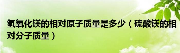 氢氧化镁的相对原子质量是多少（硫酸镁的相对分子质量）