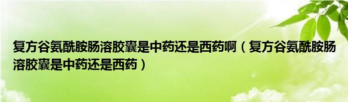 复方谷氨酰胺肠溶胶囊是中药还是西药啊（复方谷氨酰胺肠溶胶囊是中药还是西药）