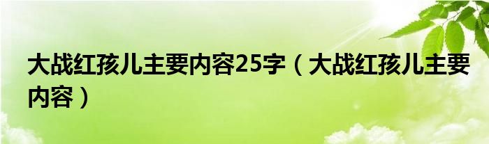 大战红孩儿主要内容25字（大战红孩儿主要内容）