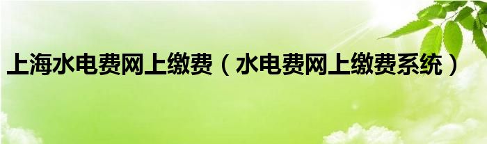 上海水电费网上缴费（水电费网上缴费系统）