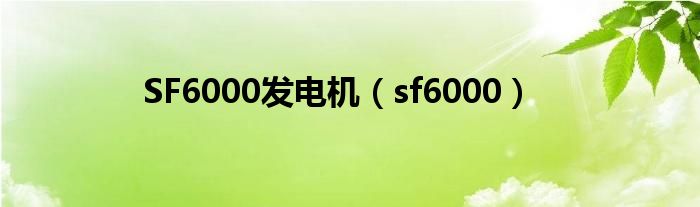 SF6000发电机（sf6000）