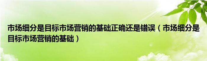 市场细分是目标市场营销的基础正确还是错误（市场细分是目标市场营销的基础）