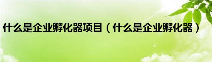 什么是企业孵化器项目（什么是企业孵化器）