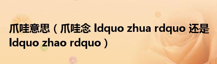 爪哇意思（爪哇念 ldquo zhua rdquo 还是 ldquo zhao rdquo）