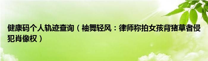 健康码个人轨迹查询（袖舞轻风：律师称拍女孩背猪草者侵犯肖像权）