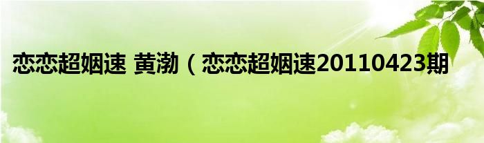 恋恋超姻速 黄渤（恋恋超姻速20110423期