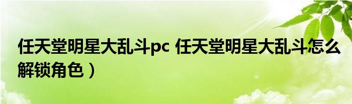 任天堂明星大乱斗pc 任天堂明星大乱斗怎么解锁角色）