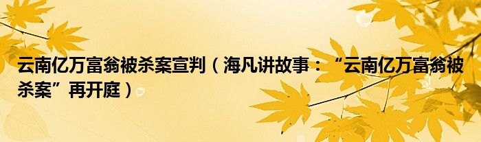 云南亿万富翁被杀案宣判（海凡讲故事：“云南亿万富翁被杀案”再开庭）