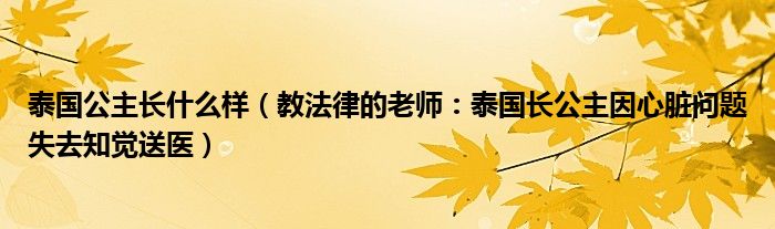 泰国公主长什么样（教法律的老师：泰国长公主因心脏问题失去知觉送医）