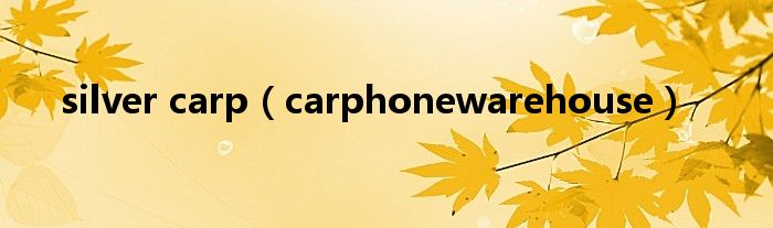 silver carp（carphonewarehouse）