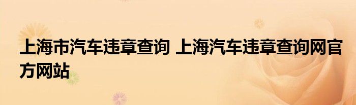 上海市汽车违章查询 上海汽车违章查询网官方网站