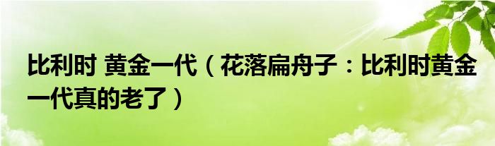 比利时 黄金一代（花落扁舟子：比利时黄金一代真的老了）