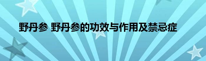 野丹参 野丹参的功效与作用及禁忌症