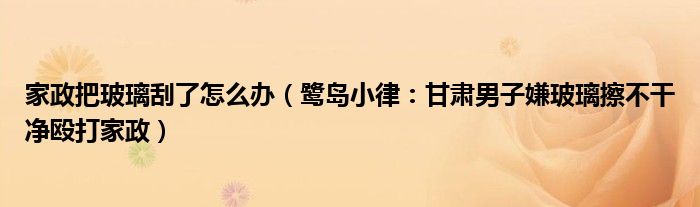 家政把玻璃刮了怎么办（鹭岛小律：甘肃男子嫌玻璃擦不干净殴打家政）