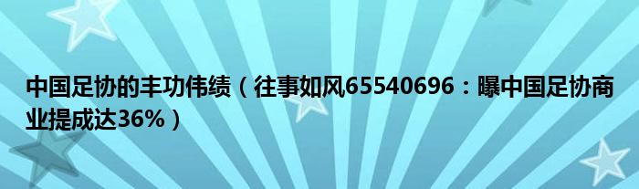 中国足协的丰功伟绩（往事如风65540696：曝中国足协商业提成达36%）