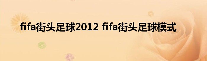 fifa街头足球2012 fifa街头足球模式