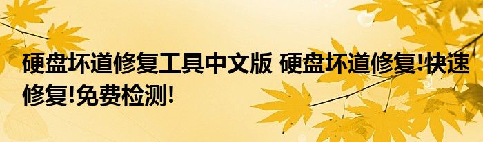 硬盘坏道修复工具中文版 硬盘坏道修复!快速修复!免费检测!