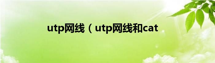 utp网线（utp网线和cat