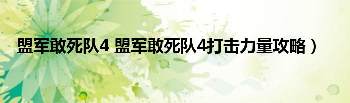 盟军敢死队4 盟军敢死队4打击力量攻略）