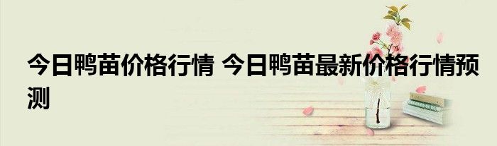 今日鸭苗价格行情 今日鸭苗最新价格行情预测