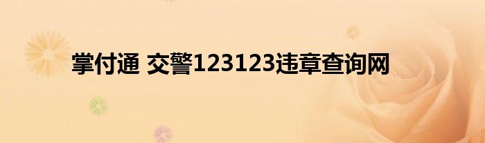 掌付通 交警123123违章查询网