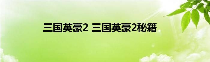 三国英豪2 三国英豪2秘籍