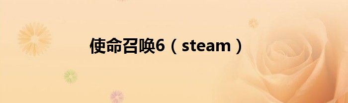 使命召唤6（steam）