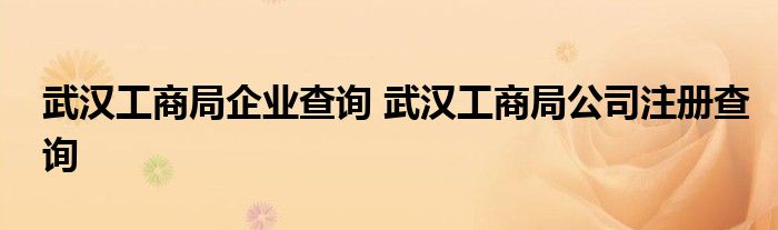 武汉工商局企业查询 武汉工商局公司注册查询