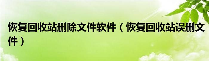 恢复回收站删除文件软件（恢复回收站误删文件）