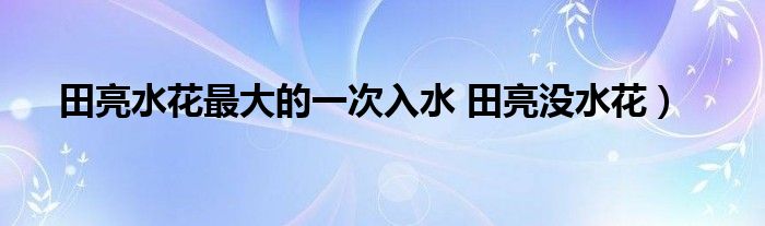 田亮水花最大的一次入水 田亮没水花）