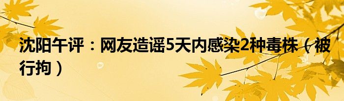 沈阳午评：网友造谣5天内感染2种毒株（被行拘）