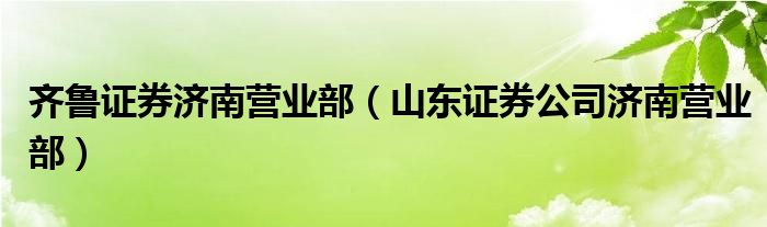 齐鲁证券济南营业部（山东证券公司济南营业部）